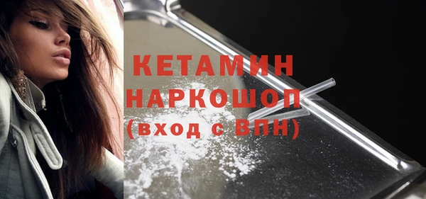 прущие грибы Абинск