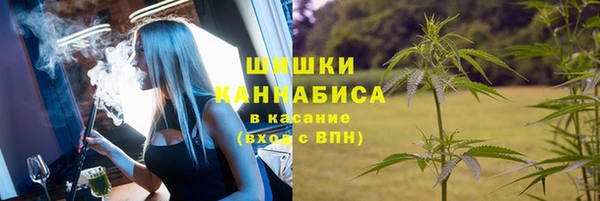 прущие грибы Абинск