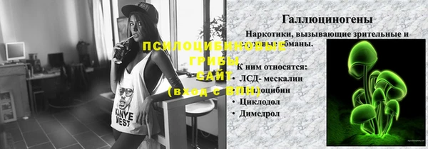 МДПВ Алексин