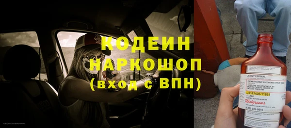 прущие грибы Абинск