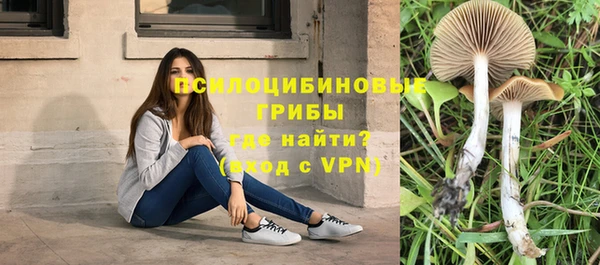 наркотики Каменка