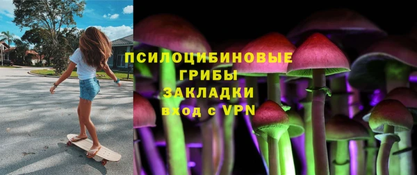 гидропоника Абаза