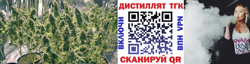 Дистиллят ТГК гашишное масло  Электрогорск 