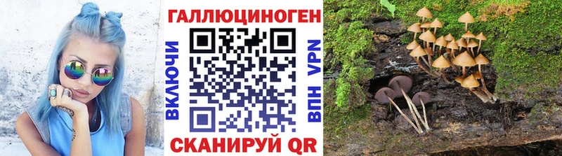 дарк нет телеграм  как найти наркотики  omg ССЫЛКА  Электрогорск  Псилоцибиновые грибы MAGIC MUSHROOMS 